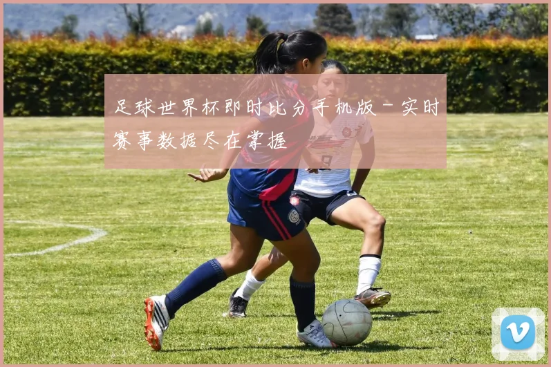 足球世界杯即时比分手机版 - 实时赛事数据尽在掌握
