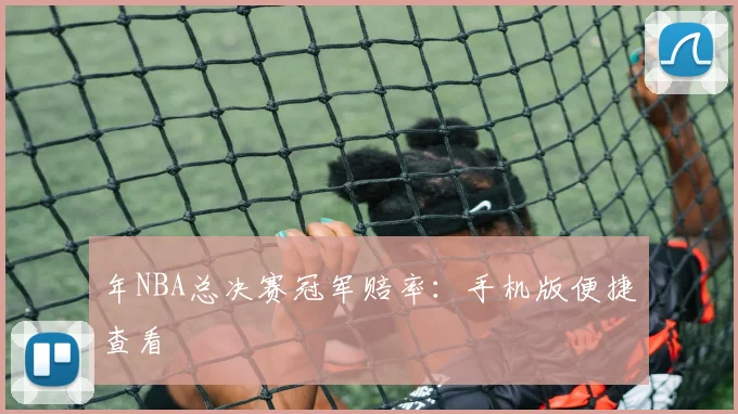 年NBA总决赛冠军赔率：手机版便捷查看